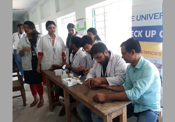 Image 292 for blood pressure estimation tests