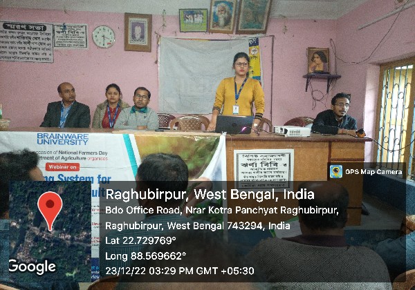 dragon-fruit-cultivation-id372