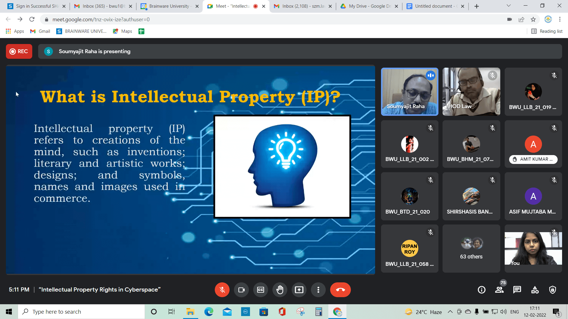 Intellectual Property Rights in Cyberspace