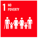 SDG 1