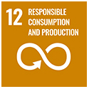 SDG 12