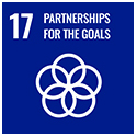 SDG 17
