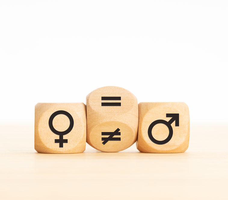 sl-no-02-gender-equality